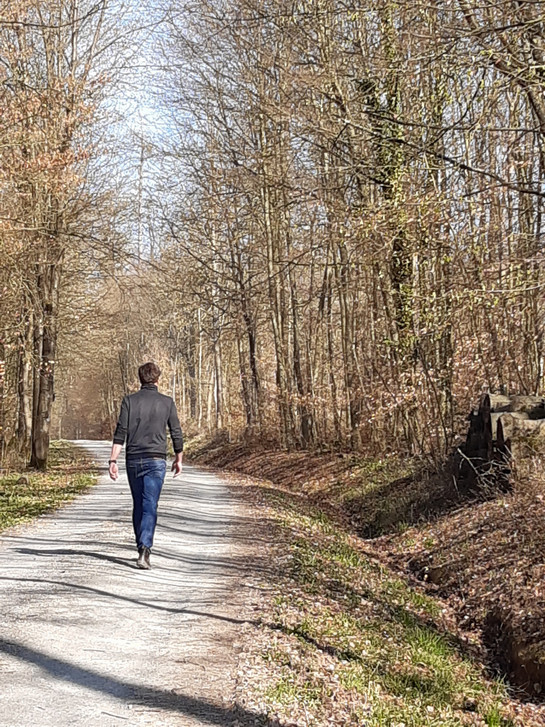 Wie Hilft Der Wald Gegen Corona Bdf Bund Deutscher Forstleute Baden Wurttemberg